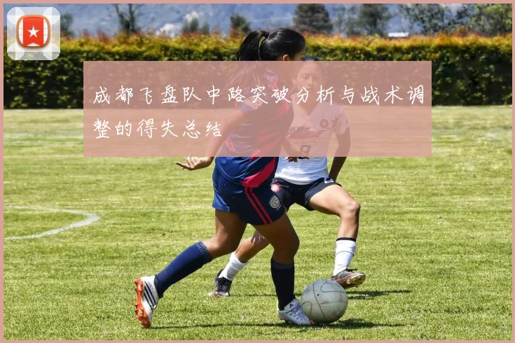 成都飞盘队中路突破分析与战术调整的得失总结