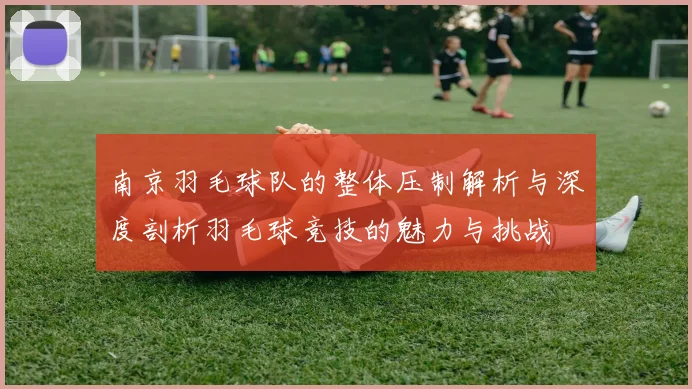 南京羽毛球队的整体压制解析与深度剖析羽毛球竞技的魅力与挑战